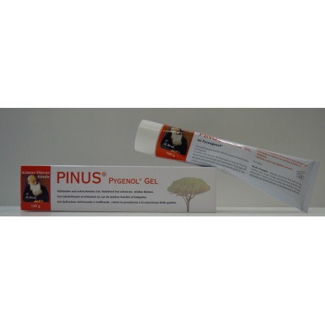 PINUS PYGENOL Gel 100 g